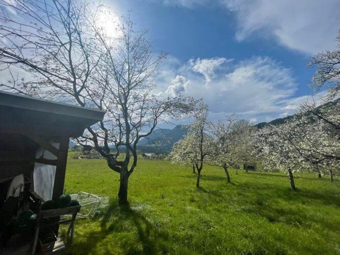 Holiday Home, Soell المظهر الخارجي الصورة